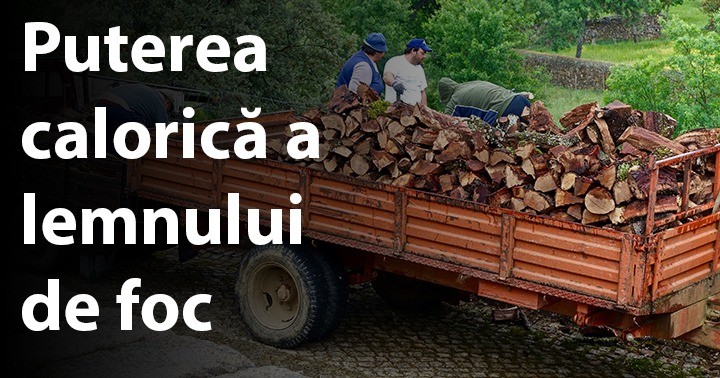 Puterea calorică a lemnului de foc