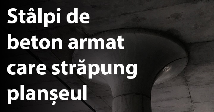 Stâlpi de beton armat, care stăpung planșeul